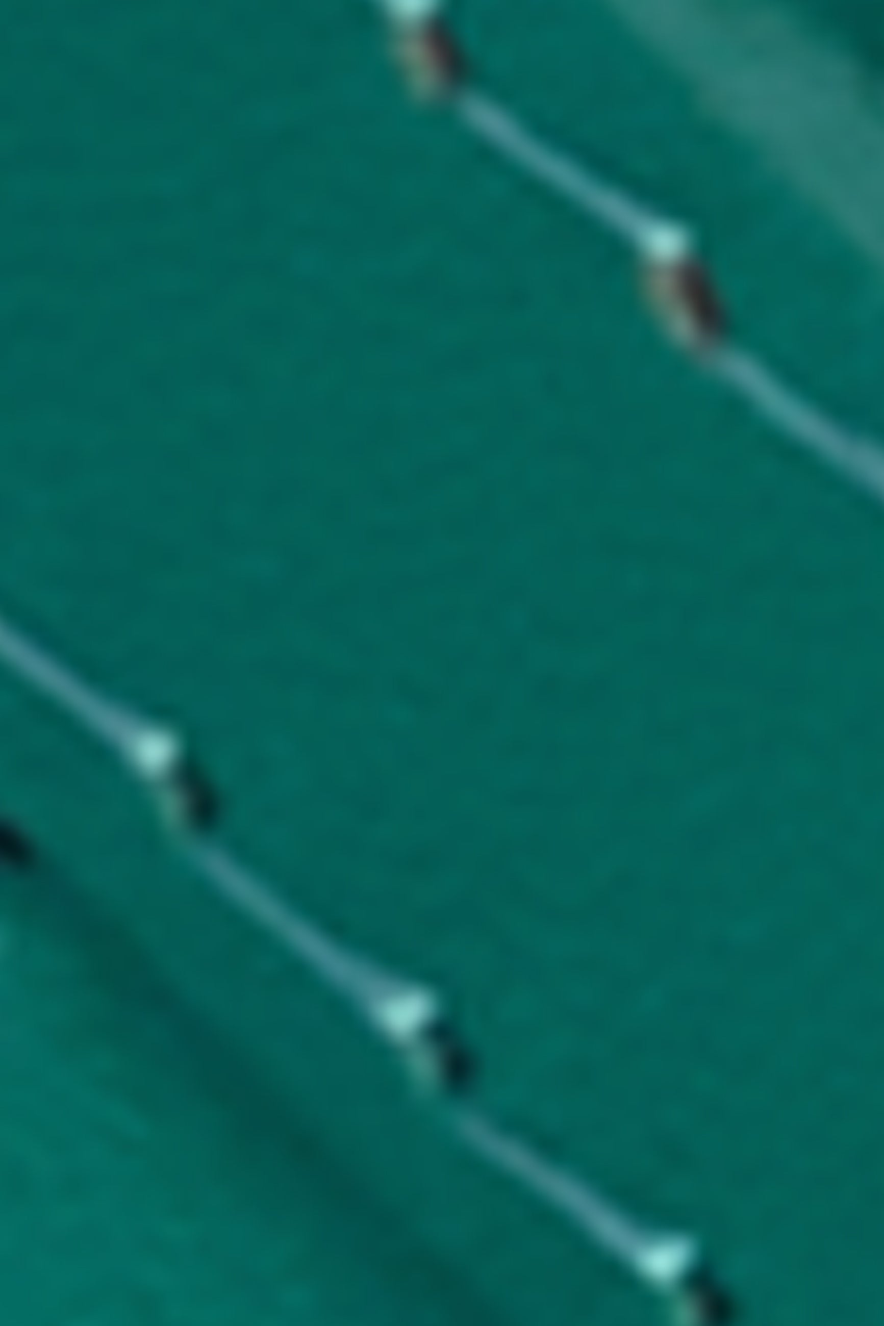 Fancy Belt - Tree Green