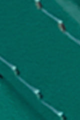 Fancy Belt - Tree Green