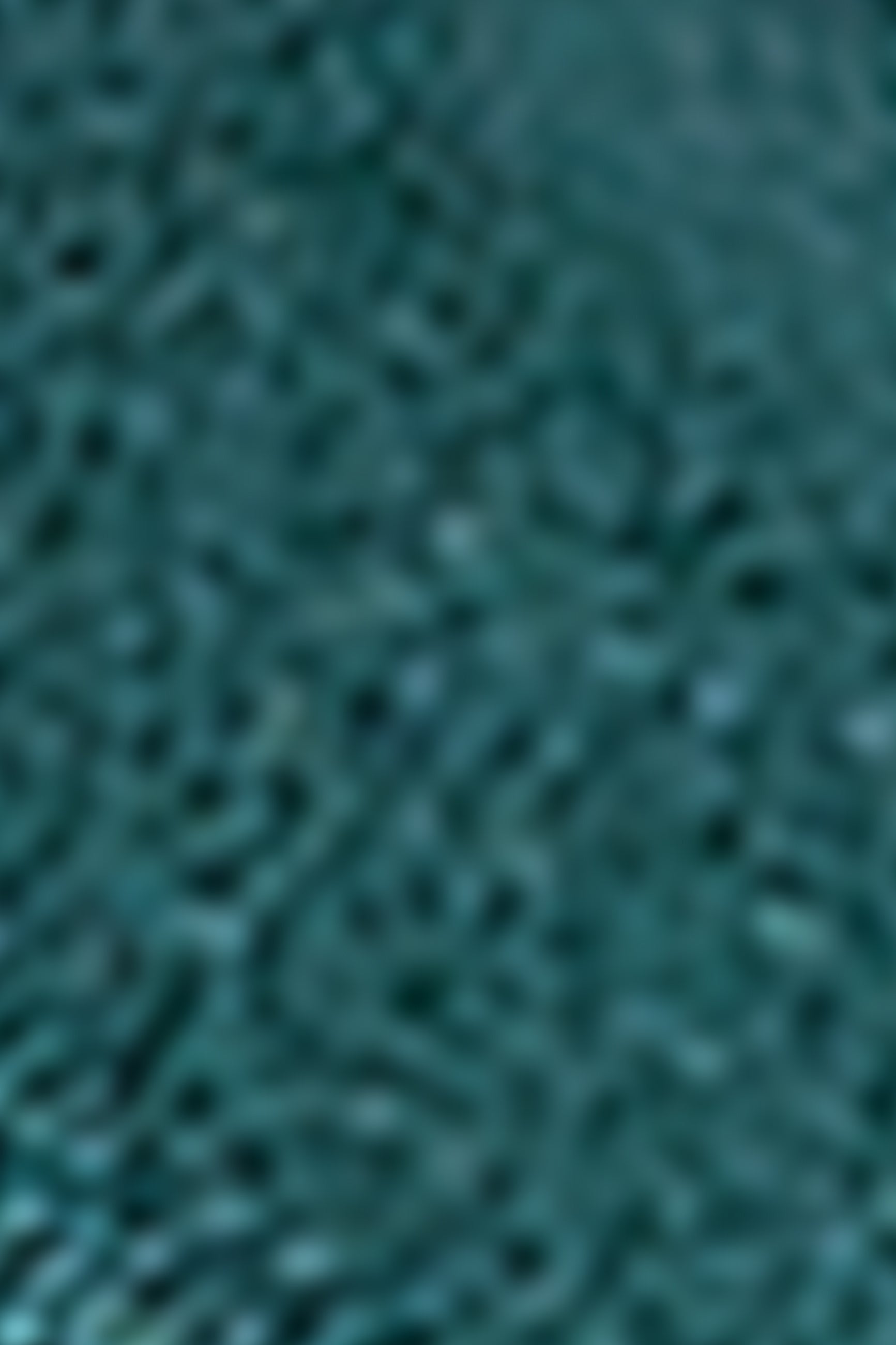 Shiny Belt - Spruced Green