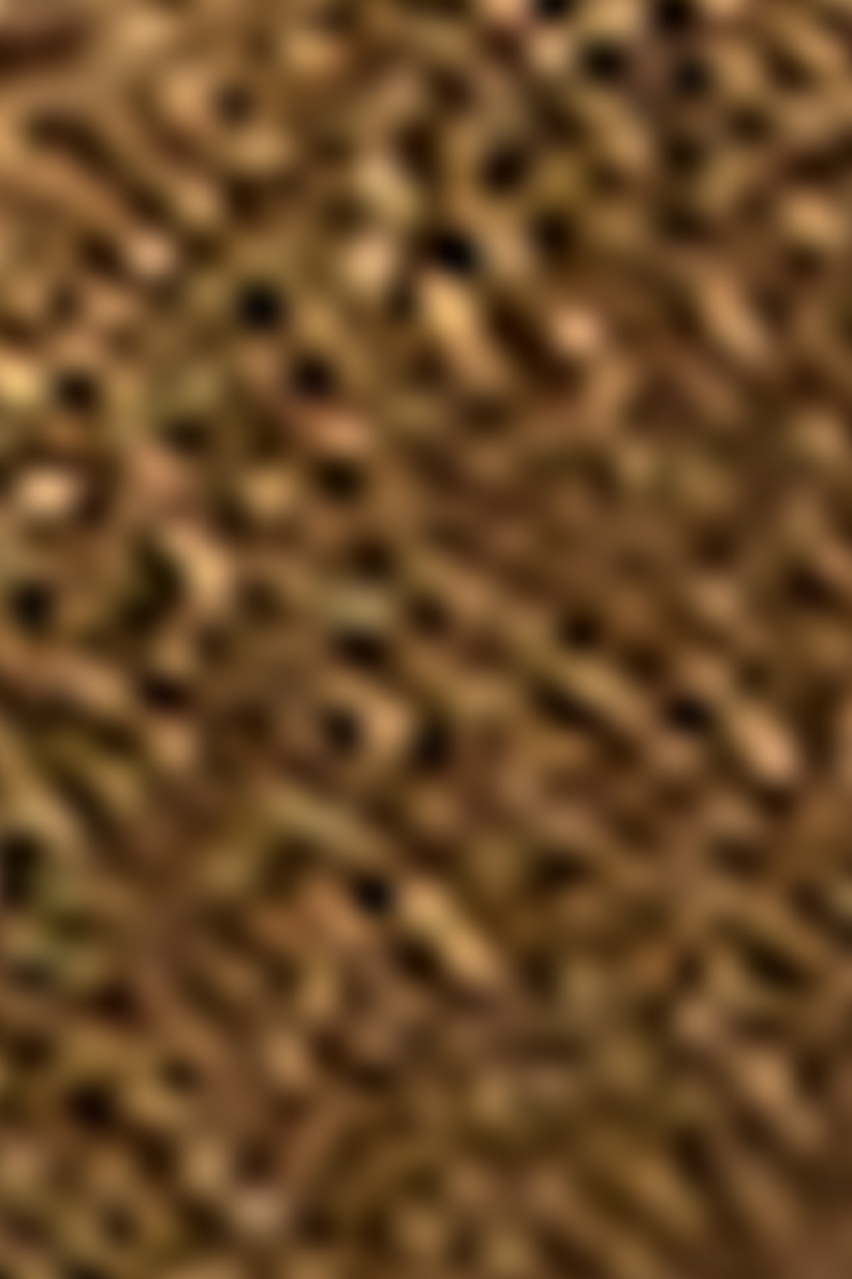 Shiny Belt - Golden Brown